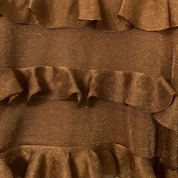 ZARA | Cropped Ruffled & Sheer Metallic Top - Picture 4 of 6